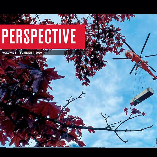 2020 Summer Perspective Newsletter